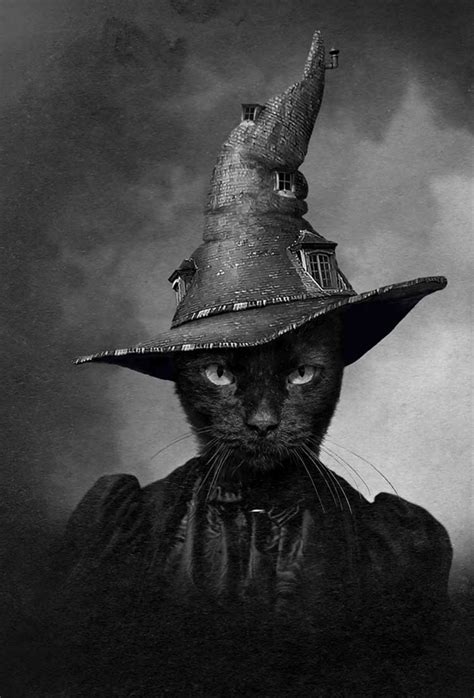 The Cat In The Magical Hat Limited Edition Print Of 100 Collage
