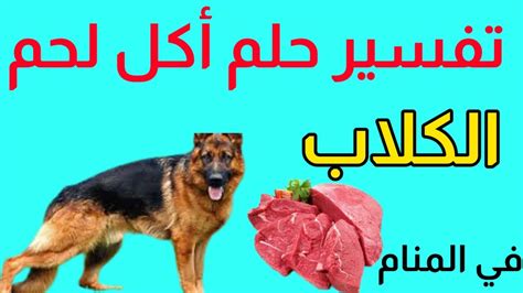 تفسير حلم اكل لحم الكلاب