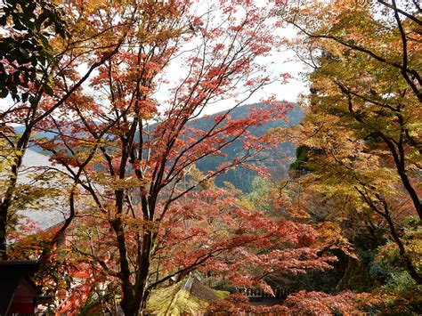 1 水澤観世音とは？ 2 水澤観世音の御朱印は？ 2.1 1：坂東十六番 本堂・千手観音の御朱印. 鞍馬寺の基本情報と見どころ ∞ ぶらぶら観光マップ