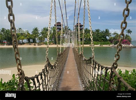 View Of The Hanging Bridge In The Sentosa Island In The Singapore Stock