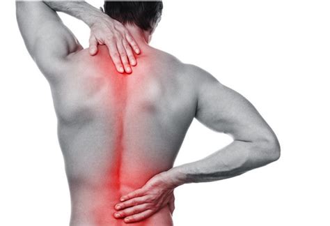 8 Tips On Choosing Chairs For Back And Neck Pain Just Cooking