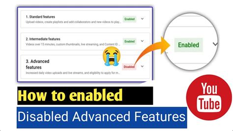 How To Enabled Advanced Features In Youtube Channel Youtube Channel