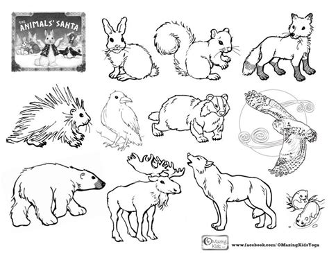 Arctic Animal Printable Booklet Coloring Pages