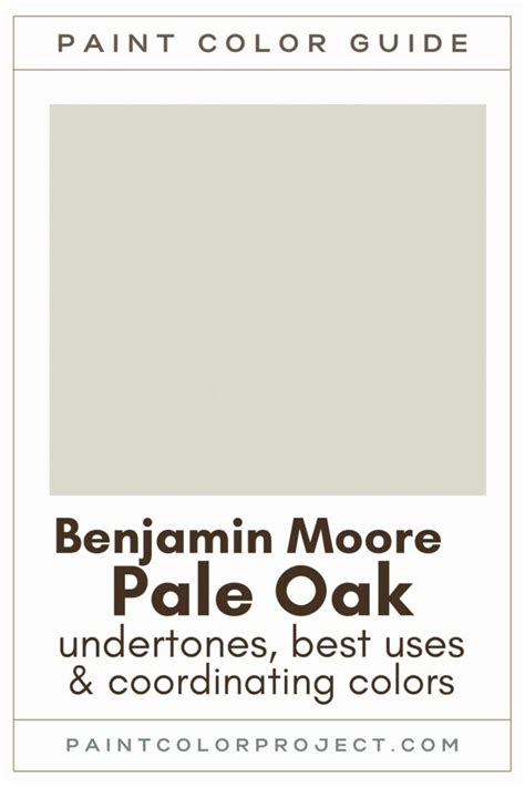 Benjamin Moore Pale Oak A Complete Color Review 2022