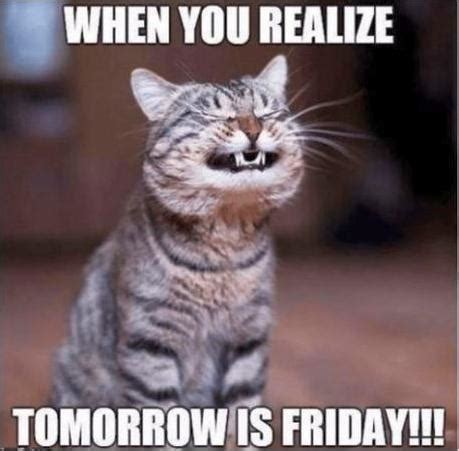A large number of thursday memes is the explanation for this. Happy Thursday Quotes and Funny Memes to Keep You Positive