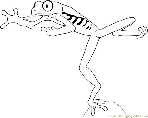 Red Eyed Tree Frog Jumping Coloring Page For Kids Free Frog Printable