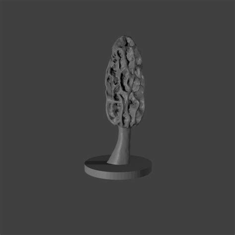 Download free STL file morel mushroom #4 • Model to 3D print ・ Cults