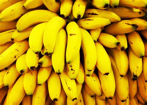 Extinct Types Of Bananas Ph