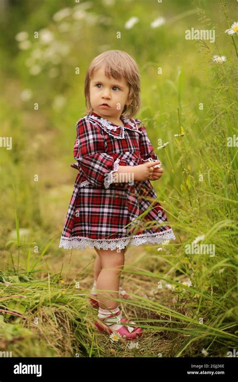 A Surprised Little Girl In A Burgundy Dress In Plaid Collects Chamomile