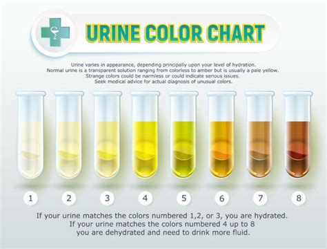 Proper Hydration Urine Color Chart