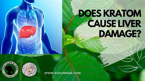 Kratom & Liver Damage - Does Kratom Cause Toxic Liver Disease or Liver