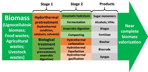 A schematic diagram for biomass valorization via hydrothermal and