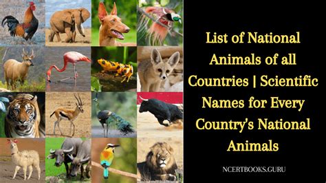 List Of National Animals Of All Countries In The World And Its