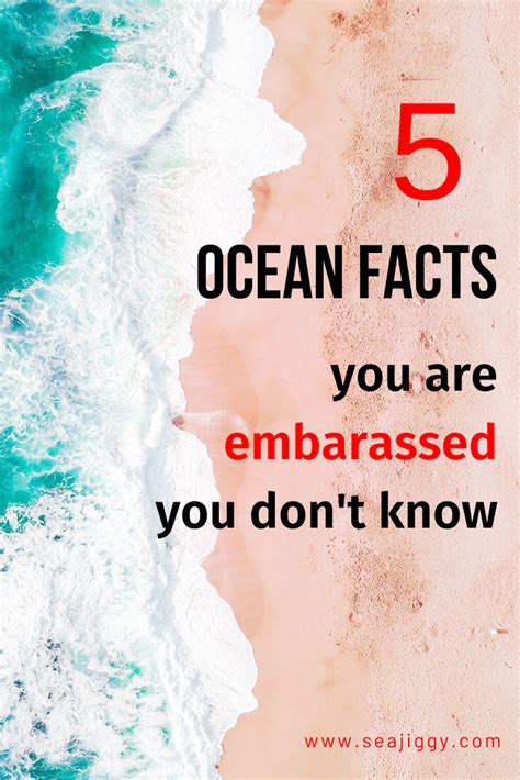 5 Ocean Facts You Are Embarrassed You Dont Know Ocean Fun Ocean