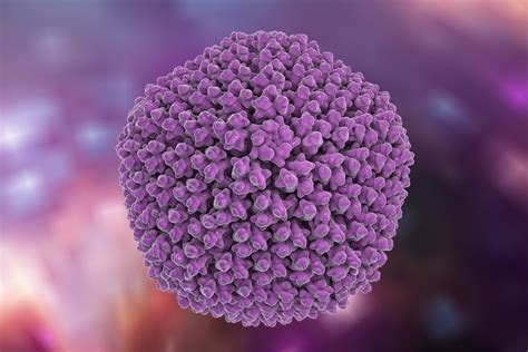 Adenovirus Type 5 Particles Cmv Luciferase The Native Antigen Company