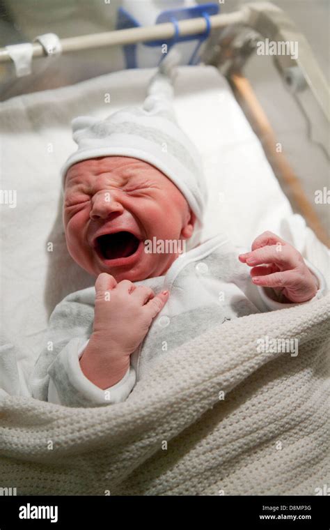 Newborn Baby Crying In Hospital Stock Photo Alamy