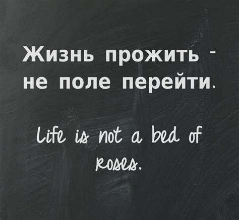 Pinstamatic Get More From Pinterest Russian Quotes Russia Quotes Russian Sayings