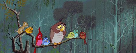 Animals Animation Beautiful Beauty Birds Animated  239879 On
