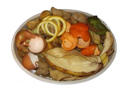 10 Astounding Facts About Food Waste - Toptenz.net