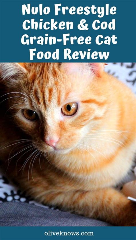Click here to read our full review. Nulo Freestyle Chicken & Cod Grain-Free Cat Food Review ...