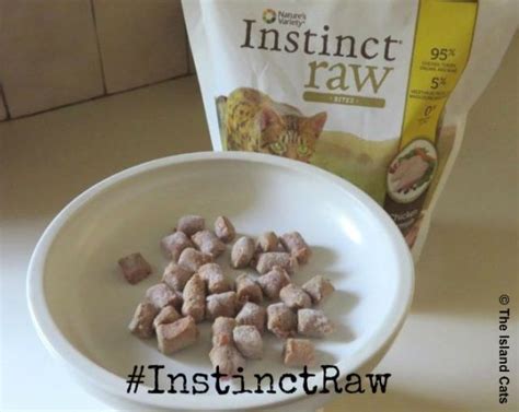 Coli, a type of bacteria found in raw spinach. Eat Like a Wild Cat with Instinct® Raw Bites #InstinctRaw ...