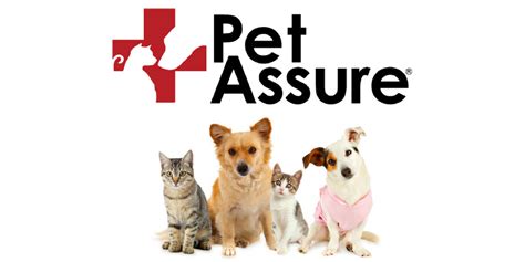 Petplan provides the most comprehensive pet insurance. Pet Assure Review - 365 Pet Insurance
