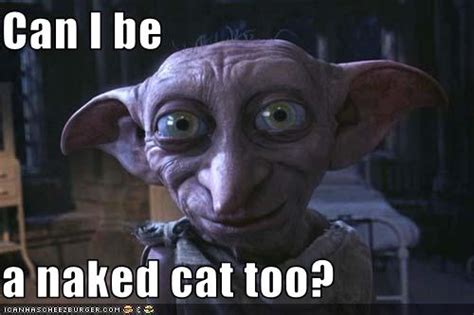 Can I Be A Naked Cat Too Cheezburger Funny Memes Funny Pictures