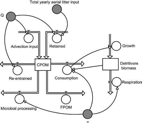 The Structure Of The Stella Model Developed To Predict Cpom Standing