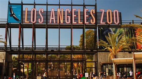 How The Los Angeles Zoo Protects Its Animals During Wildfires And Other