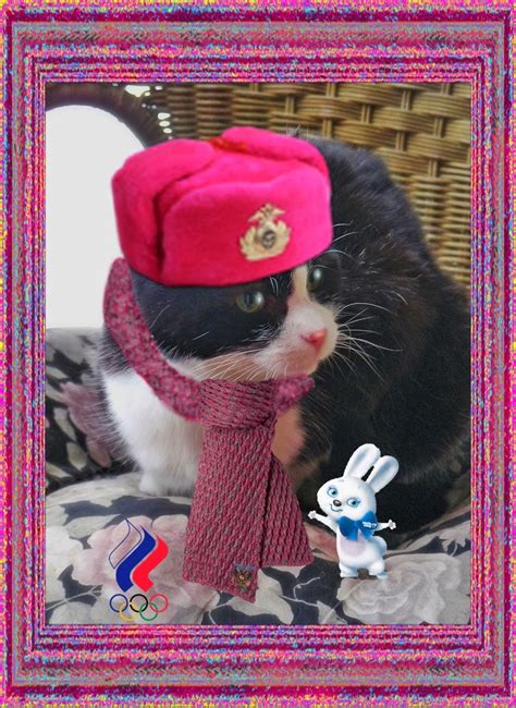 Wendys 3 D Cats Sochi Fashion In 3 D