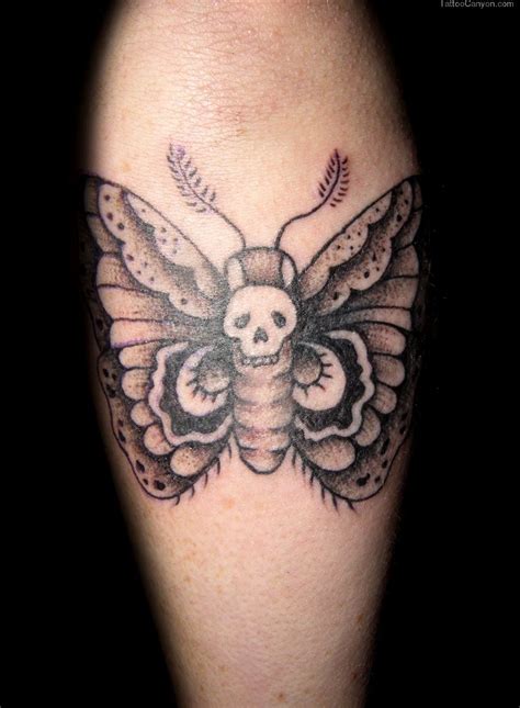 skull moth butterfly | Butterfly tattoos on arm, Butterfly tattoo meaning, Skull butterfly tattoo