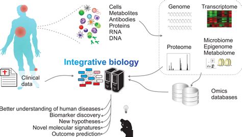 A Framework For Integrative Biology High Throughput Techniques Such As