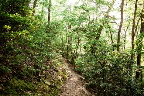 Catawba County’s Bakers Mountain Park: A Hiker’s Haven