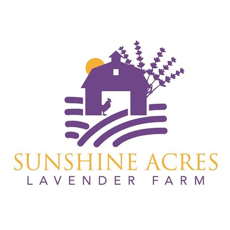 sunshine acres lavender farm morrow oh