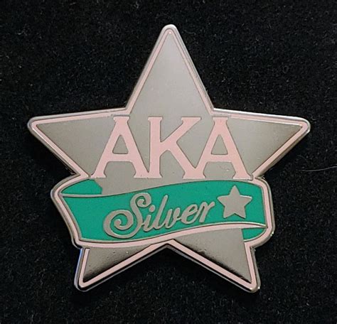 Aka Silver Star Pin