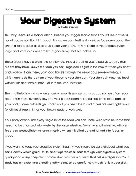 Use the gizmo to answer the following questions: 19 Best Images of Digestive System Worksheets Printable ...