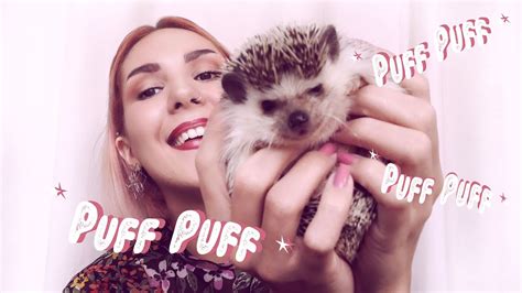 Meet My EXOTIC PETS - YouTube
