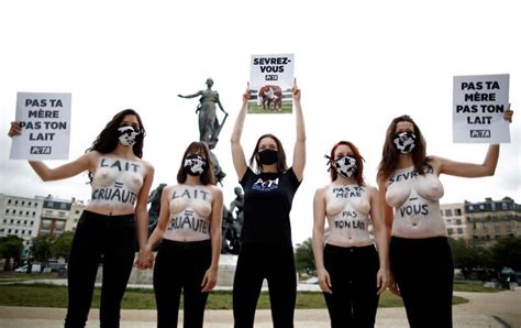 Peta Activists Bare Breasts In Paris Against Use Of Cows Milk