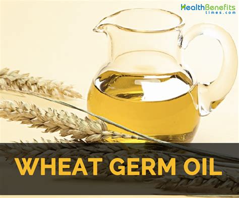 Wheat Germ Oil Facts Health Benefits And Nutritional Value