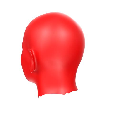 3d Rendering Of Human Bust 18065604 Png