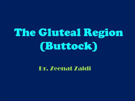 Ppt The Gluteal Region Buttock Powerpoint Presentation Free Download Id 2951081