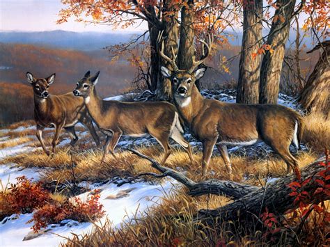 Deer Phone Wallpapers