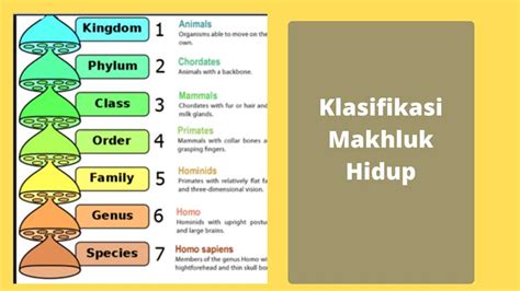 Pengertian Klasifikasi Makhluk Hidup Kingdom 1 6 Artikel Lengkap