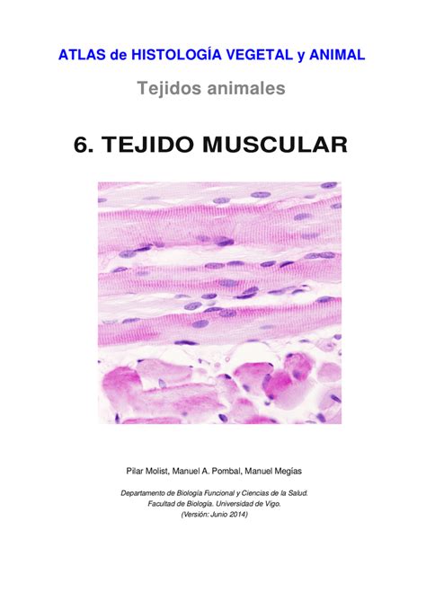 6 Tejido Muscular Atlas De Histología Vegetal Y Animal