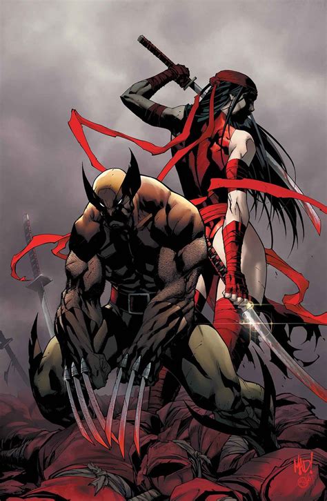 Wolverine Vs Sabretooth Comic Wolverine And Elektra Vs