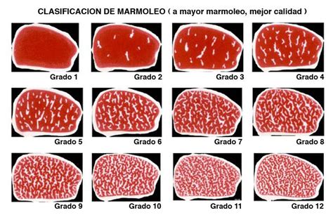 ¿quieres disfrutar buenos momentos con tus seres. Marmoleo del wagyu | Buey de kobe, Carne wagyu, Kobe