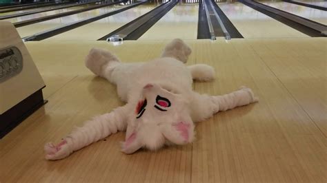 Cats Stink At Bowling Youtube