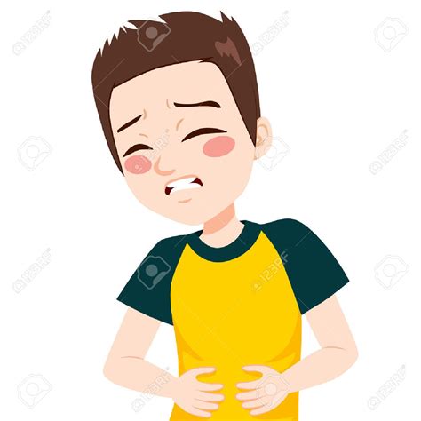 Stomach Clipart at GetDrawings | Free download