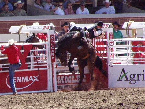 Bei sabro findest du exklusive produkte für deinen hund und dein pferd. Rodeo reiten — Extremnews — Die etwas anderen Nachrichten