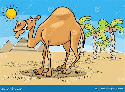 Funny Cartoon Dromedary Camel In The Desert Vector Illustration